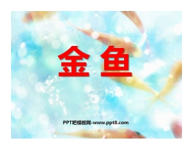 《金鱼》动物PPT课件3
