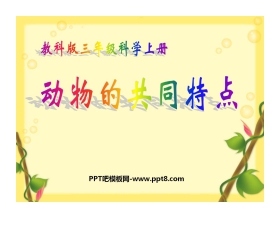 《动物有哪些相同点》动物PPT课件2