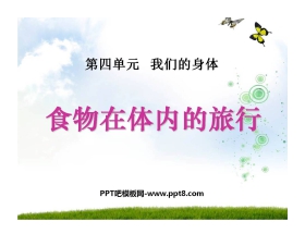 《食物在体内的旅行》我们的身体PPT课件2