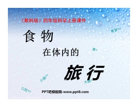 《食物在体内的旅行》我们的身体PPT课件3
