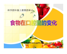 《食物在口腔里的变化》我们的身体PPT课件
