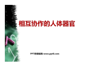 《相互协作的人体器官》我们的身体PPT课件2