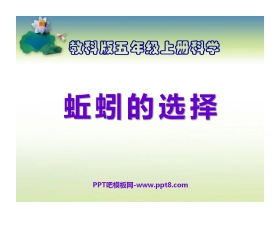《蚯蚓的选择》生物与环境PPT课件5
