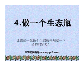 《做一个生态瓶》生物与环境PPT课件5
