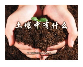 《土壤中有什么》地球表面及其变化PPT课件