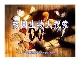 《校园生物大搜索》生物的多样性PPT课件