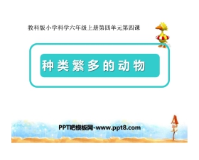 《种类繁多的动物》生物的多样性PPT课件2