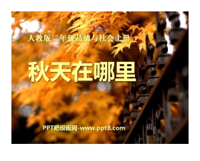 《秋天在哪里》金色的秋天PPT课件5