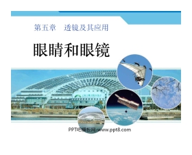 《眼睛和眼镜》透镜及其应用PPT课件