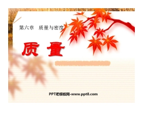 《质量》质量与密度PPT课件5