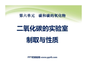 《二氧化碳的实验室制取与性质》碳和碳的氧化物PPT课件7