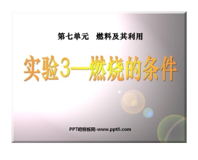 《燃烧的条件》燃料及其利用PPT课件5