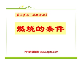 《燃烧的条件》燃料及其利用PPT课件6