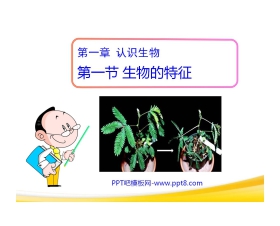 《生物的特征》认识生物PPT课件3