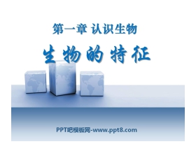 《生物的特征》认识生物PPT课件4