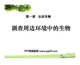 《调查周边环境中的生物》认识生物PPT课件3