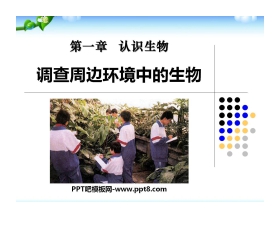 《调查周边环境中的生物》认识生物PPT课件6