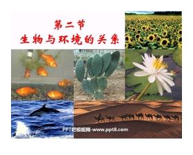 《生物与环境的关系》了解生物圈PPT课件2