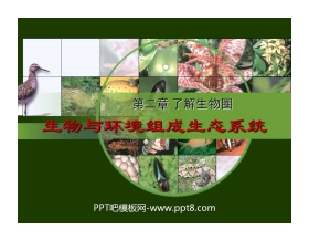 《生物与环境组成生态系统》了解生物圈PPT课件3