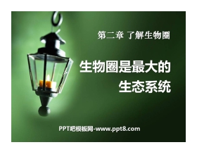 《生物圈是最大的生态系统》了解生物圈PPT课件6