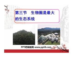 《生物圈是最大的生态系统》了解生物圈PPT课件8