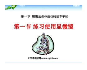 《练习使用显微镜》细胞是生命活动的基本单位PPT课件4
