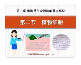 《植物细胞》细胞是生命活动的基本单位PPT课件3
