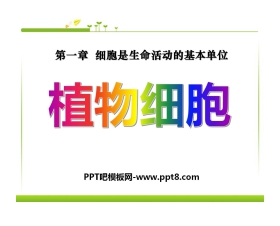 《植物细胞》细胞是生命活动的基本单位PPT课件5