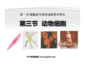 《动物细胞》细胞是生命活动的基本单位PPT课件3