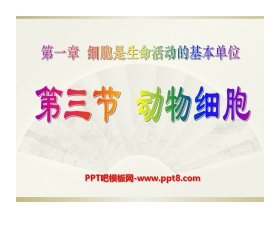 《动物细胞》细胞是生命活动的基本单位PPT课件4