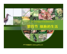 《细胞的生活》细胞是生命活动的基本单位PPT课件