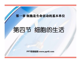 《细胞的生活》细胞是生命活动的基本单位PPT课件2
