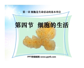 《细胞的生活》细胞是生命活动的基本单位PPT课件4