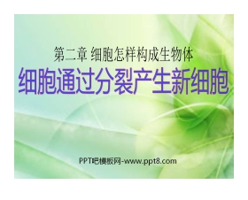 《细胞通过分裂产生新细胞》细胞怎样构成生物体PPT课件