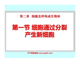 《细胞通过分裂产生新细胞》细胞怎样构成生物体PPT课件3