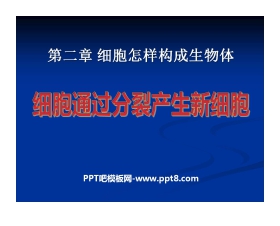 《细胞通过分裂产生新细胞》细胞怎样构成生物体PPT课件5