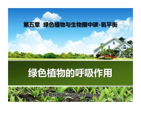 《绿色植物的呼吸作用》绿色植物与生物圈中碳-氧平衡PPT课件