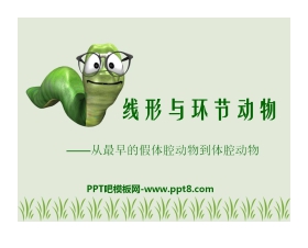 《线形动物和环节动物》动物的主要类群PPT课件