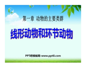 《线形动物和环节动物》动物的主要类群PPT课件5