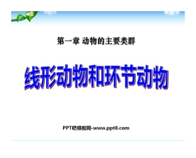 《线形动物和环节动物》动物的主要类群PPT课件7