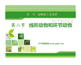 《线形动物和环节动物》动物的主要类群PPT课件3