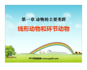 《线形动物和环节动物》动物的主要类群PPT课件4