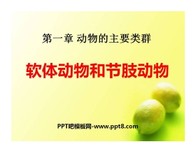 《软体动物和节肢动物》动物的主要类群PPT课件3
