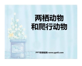 《两栖动物和爬行动物》动物的主要类群PPT课件