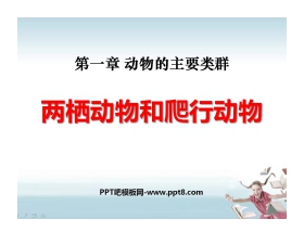 《两栖动物和爬行动物》动物的主要类群PPT课件5