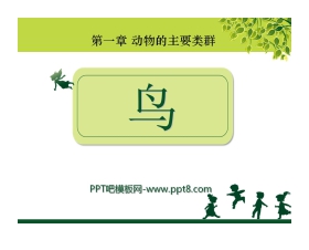 《鸟》动物的主要类群PPT课件