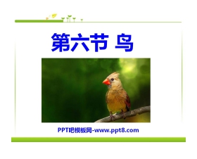 《鸟》动物的主要类群PPT课件4