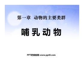 《哺乳动物》动物的主要类群PPT课件
