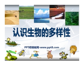 《认识生物的多样性》PPT课件6