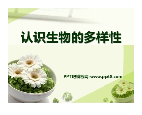 《认识生物的多样性》PPT课件7